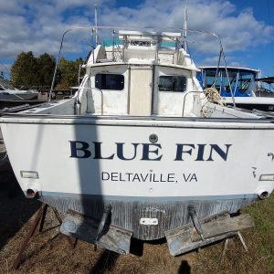 Blue Fin