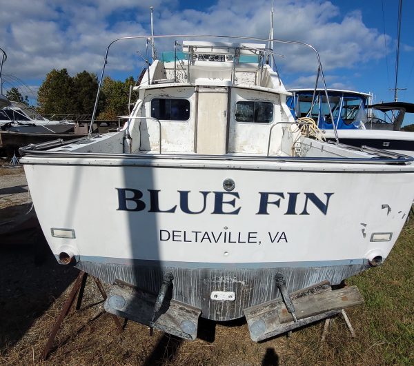Blue Fin