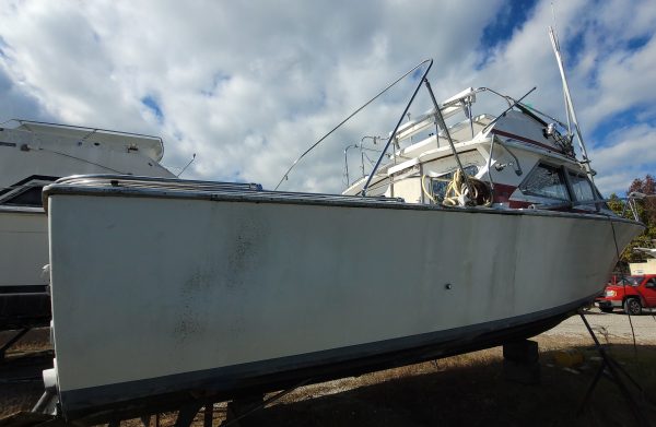 Blue Fin - Image 13