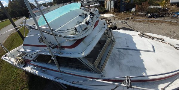 Blue Fin - Image 12