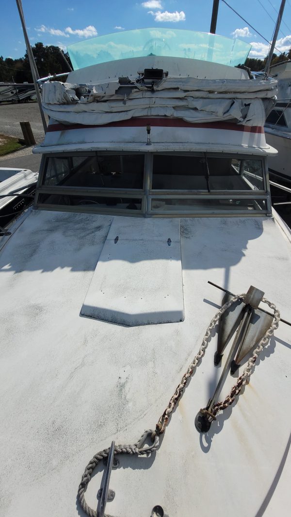 Blue Fin - Image 11