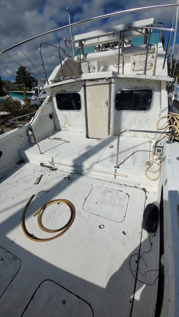 Blue Fin - Image 10