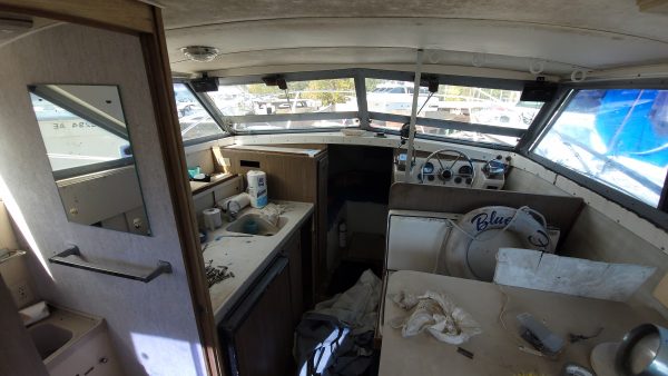 Blue Fin - Image 6