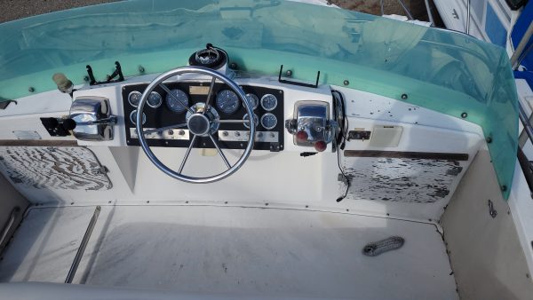Blue Fin - Image 3