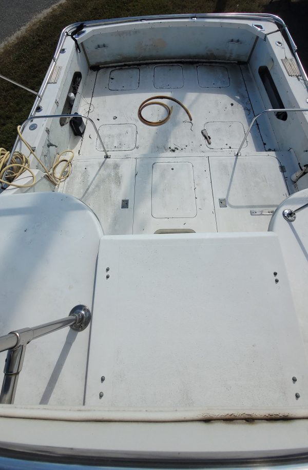 Blue Fin - Image 2